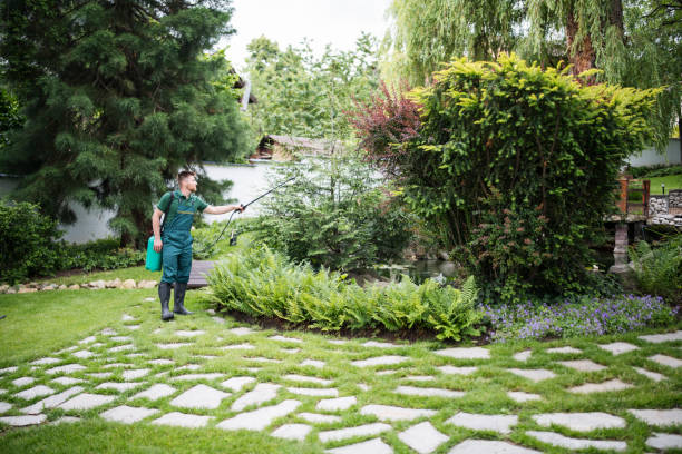Best Affordable Pest Control Services  in Edgewood, FL