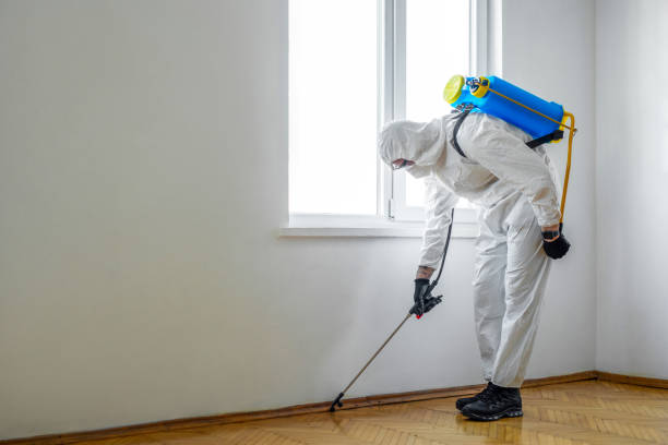 Best Best Pest Control Companies  in Edgewood, FL