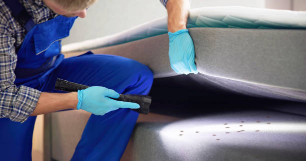 Best Termite Control Services  in Edgewood, FL