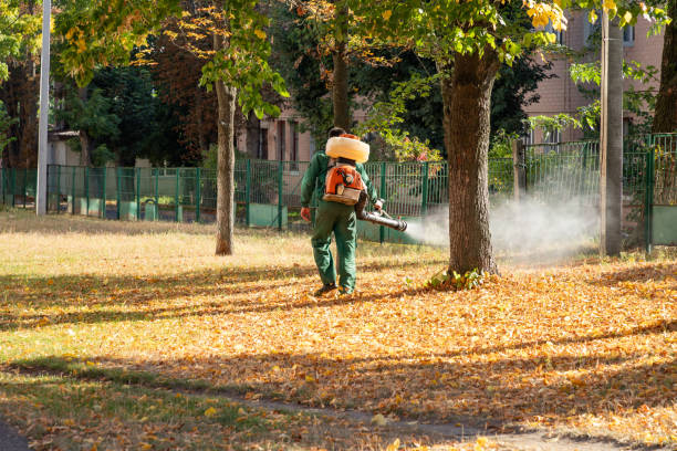 Best Pest Prevention Services  in Edgewood, FL
