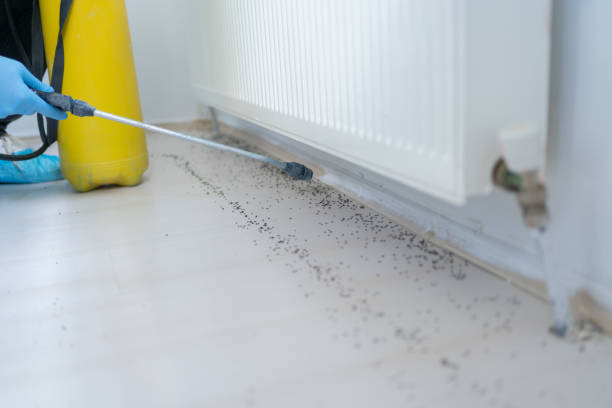Best Commercial Pest Control Services  in Edgewood, FL