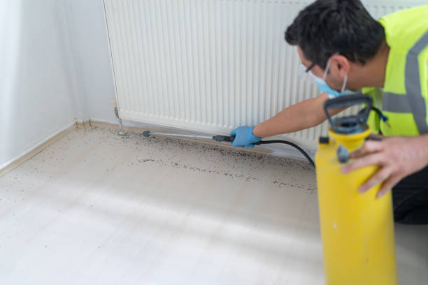 Best Residential Pest Control  in Edgewood, FL